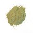 Photo of ground Hyssop.