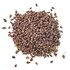 Photo of anise whole.