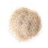 Light-colored, ground vanilla sugar with visible vanilla specks on a white background