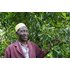 Photo of a man next to a clove tree.