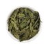 Photo of a stinging nettle.