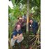 In the picture there are many people around a cinnamon tree.