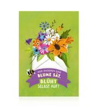 Spring Postcard
