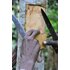 The photo shows a cinnamon tree from which the cinnamon bark was loosened with the help of knives.