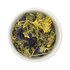 00523_druidentrank.jpg